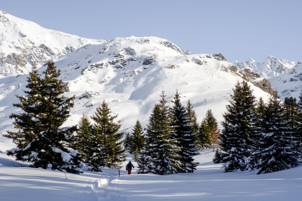 Schneeschuhrunde von Sur über die Alp Flix