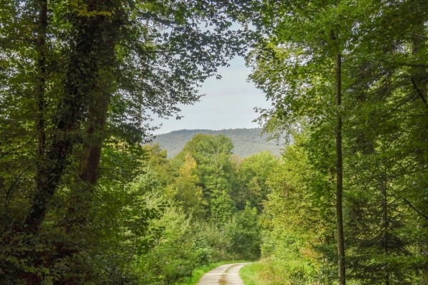 Sur la Gisliflue dans le Parc du Jura argovien