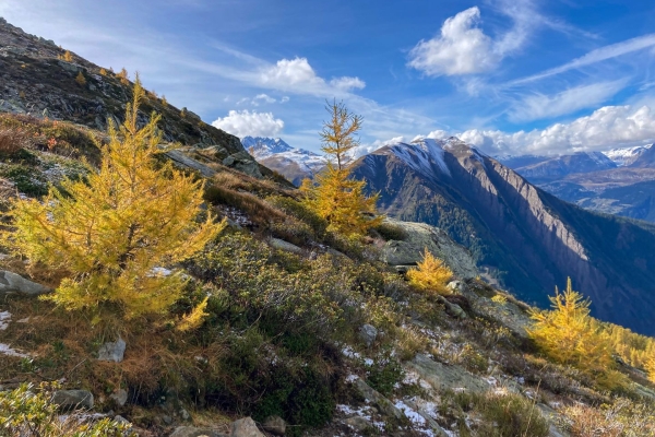 Wanderung zum Schaplersee im Landschaftspark Binntal