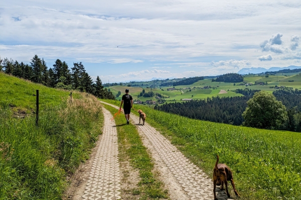 Tranquilla escursione ai margini dell’Emmental