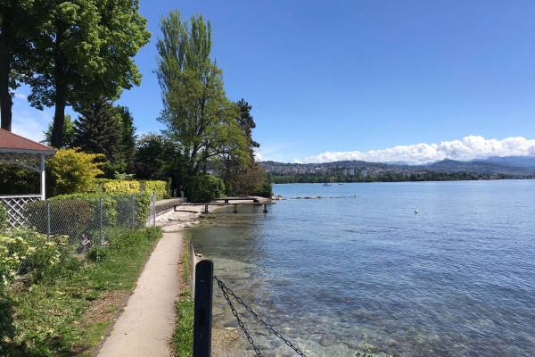 Randonnée au bord du lac Léman