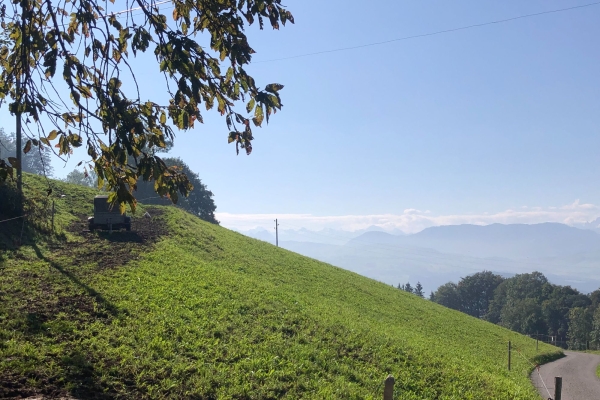 Panoramaweg Albiskette mit Milchsuppenstein