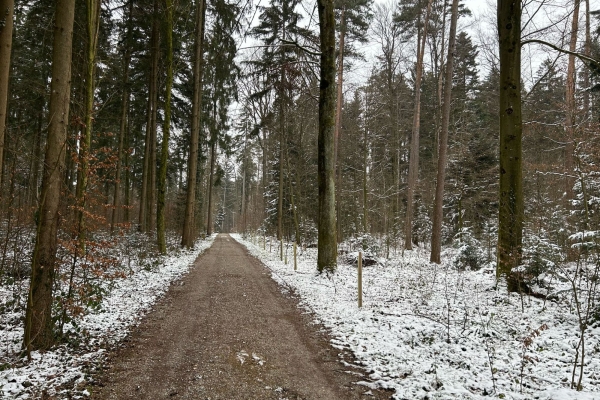 Von Kloten nach Bülach