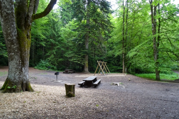 Le long de la Sarine, au cœur des Préalpes fribourgeoises