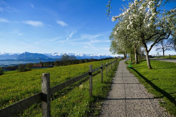 Aussichtsreiche Wanderung im Freiamt