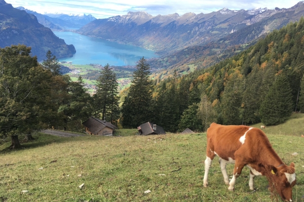 Fitness-Check Lungern / Höch Gumme