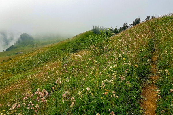 Unbekannte Gipfel im Greyerzerland