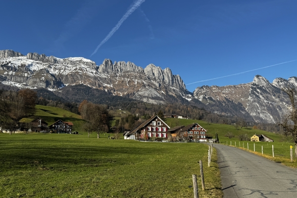 Halbtageswanderung Gamserberg