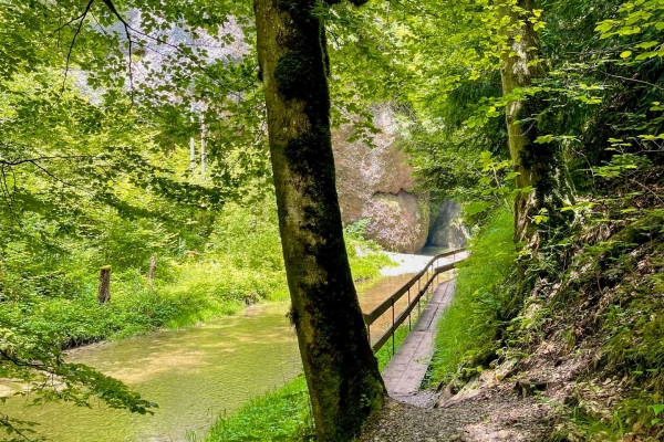 Familienwanderung durch die lauschige Wissbachschlucht