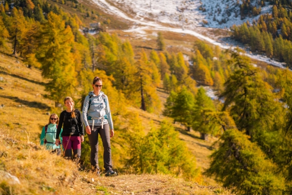 R49: Haute-Nendaz - Cabane de Balavaud - Basso d'Alou - Siviez