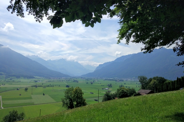 Frühlingserwachen am Ricken