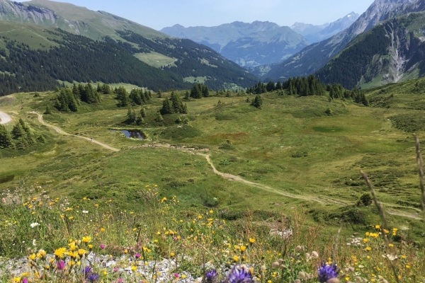 Von der Grossen Scheidegg auf den Wildgärst