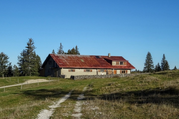 Wanderung auf den Mont Tendre im Parc Jura vaudois