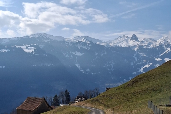 Halbtageswanderung zum Waldenstadtberg