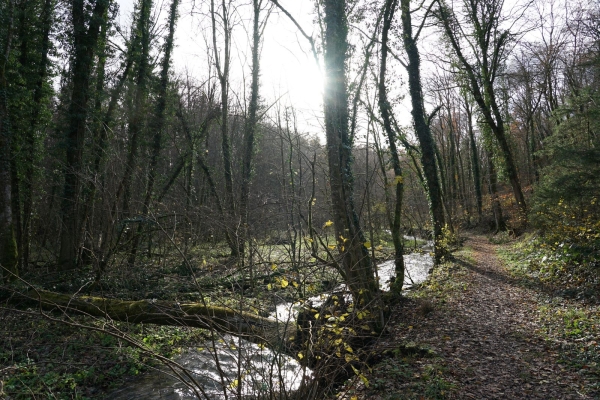 Idyllische Wanderung durchs Churz- und Langloch nach Schaffhausen