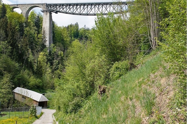 Zubi Wanderung zum Logistikerzentrum in Gossau