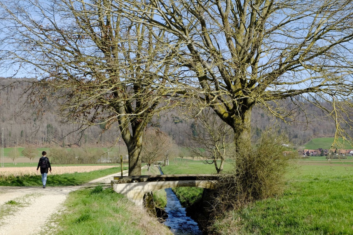 De Messen, dans le canton de Soleure, on longe le cours d’eau Messibach vers Oberramsen.