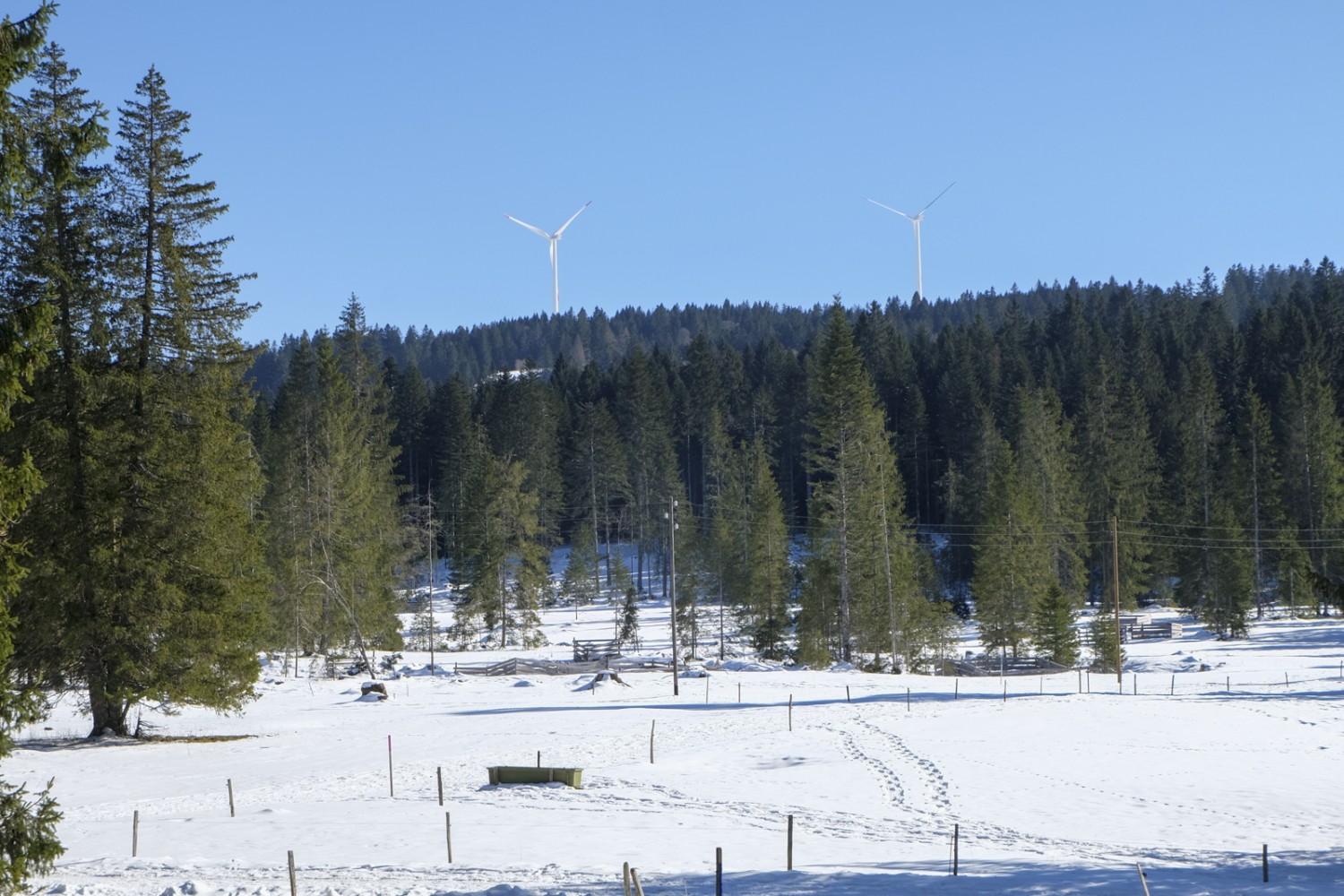 Der Blick zurück auf die Wytweiden der Pâturage communal. Im Hintergrund die Windräder auf dem Mont Crosin. Bild: Elsbeth Flüeler