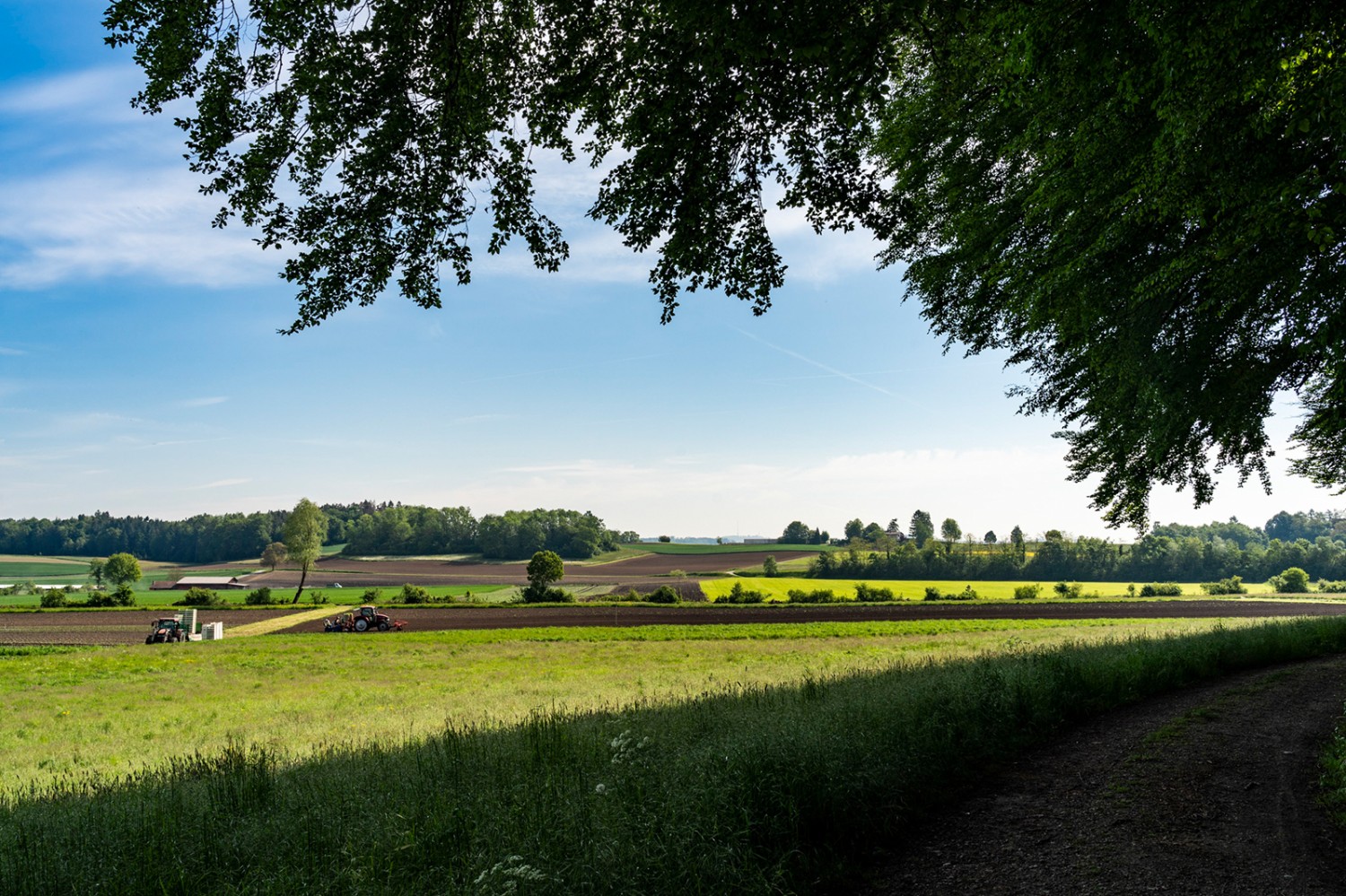 Une randonnée sur les terres de l’ancien couvent. Photos: Severin Nowacki
