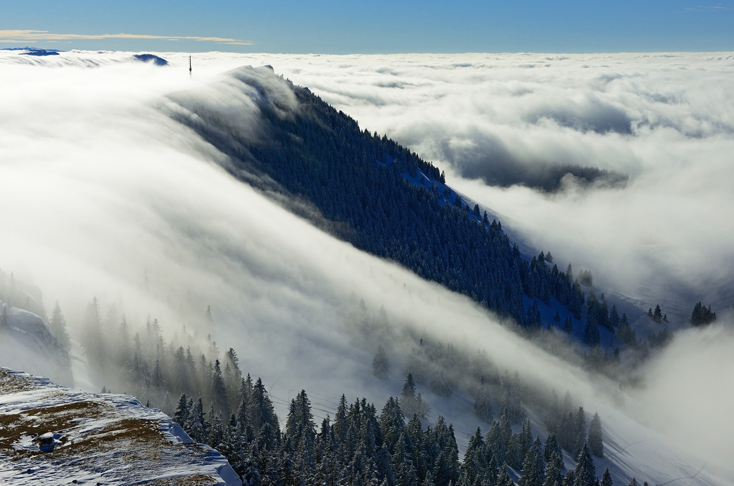 Sur la crête du Chasseron. Photo: Natur-Welten