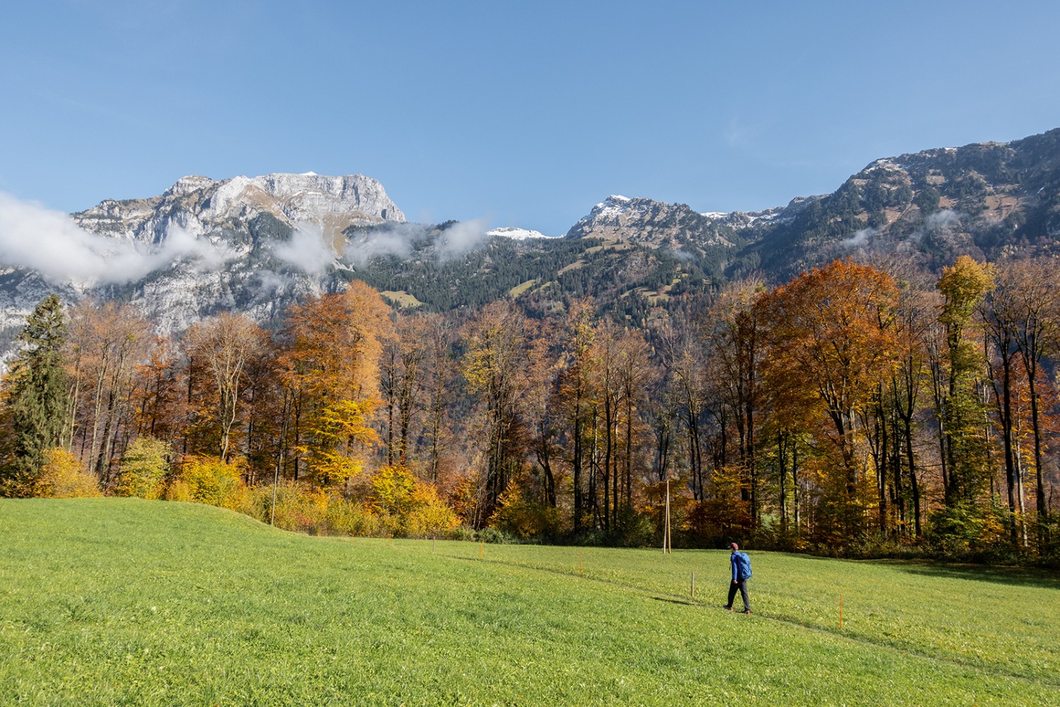 Bei Schönau, mit Sicht zum Schilt (links).