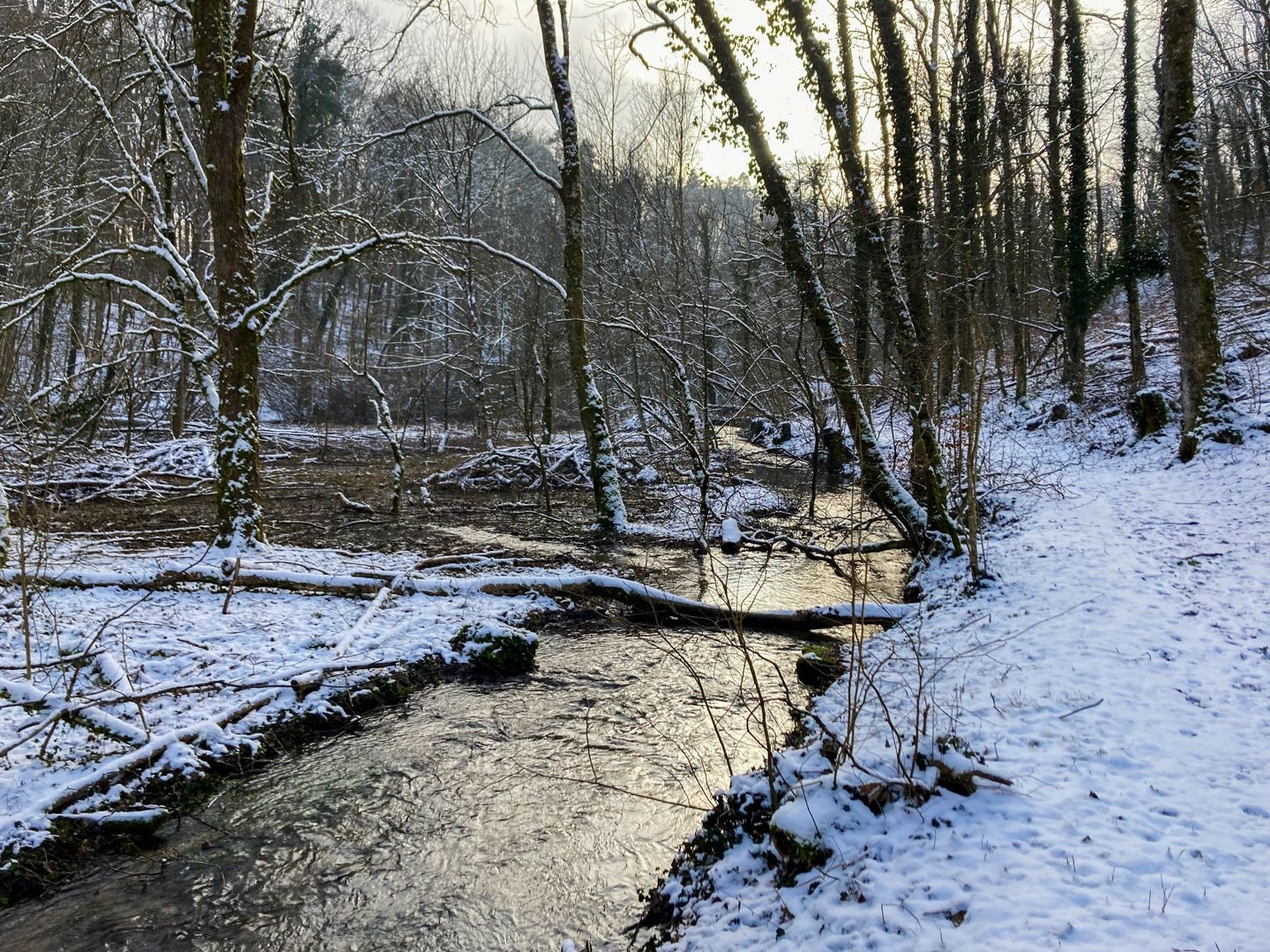 Sur le sentier de la période glaciaire près de Wäier