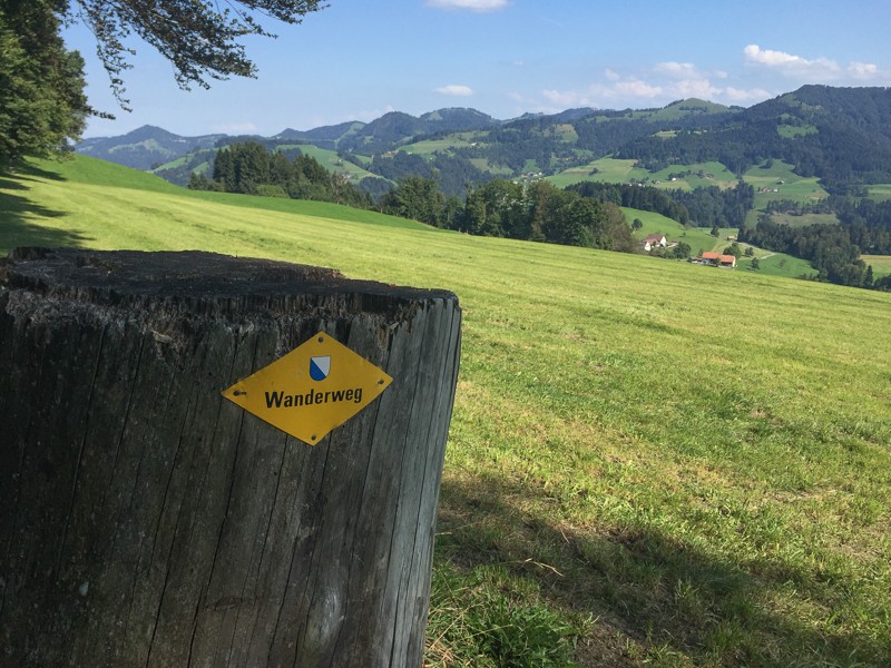 Questa escursione offre una splendida vista sul Oberland zurighese. Foto: Vera In-Albon