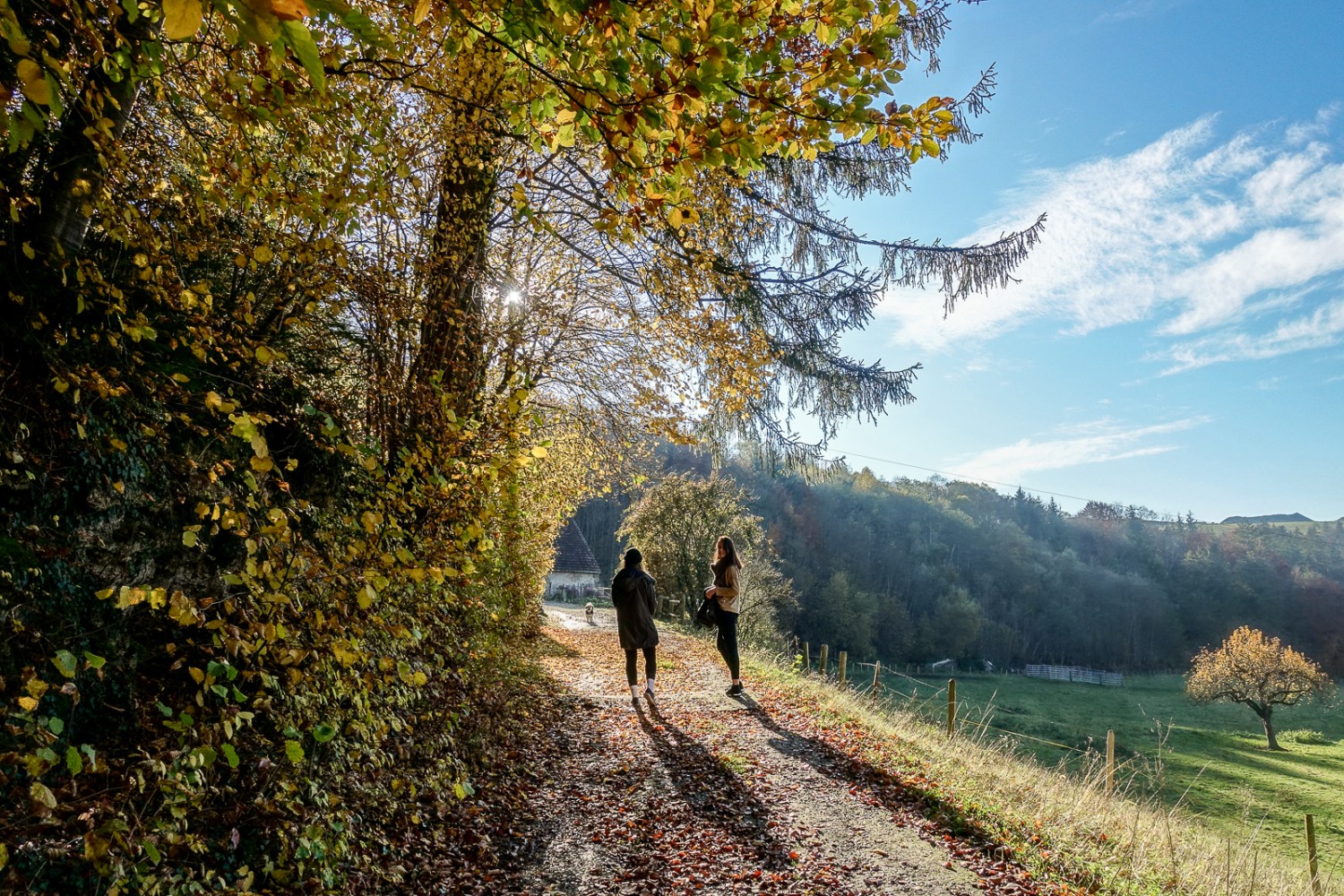 Légère remontée sur la Tuffière. Photo: Lauriane Clément