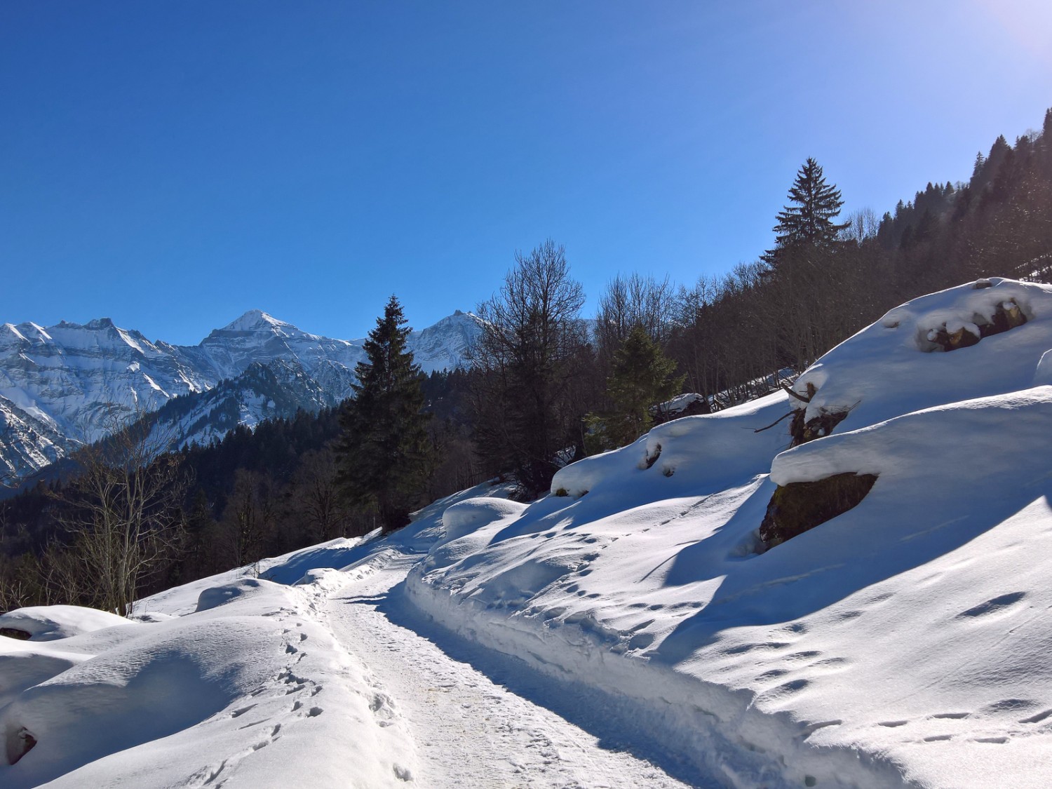 Auf dem Weg zum Nussbüel.