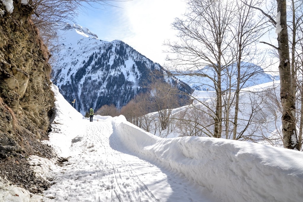 Die Aussicht ist nach jeder Kurve wunderschön. Bild: Randy Schmieder