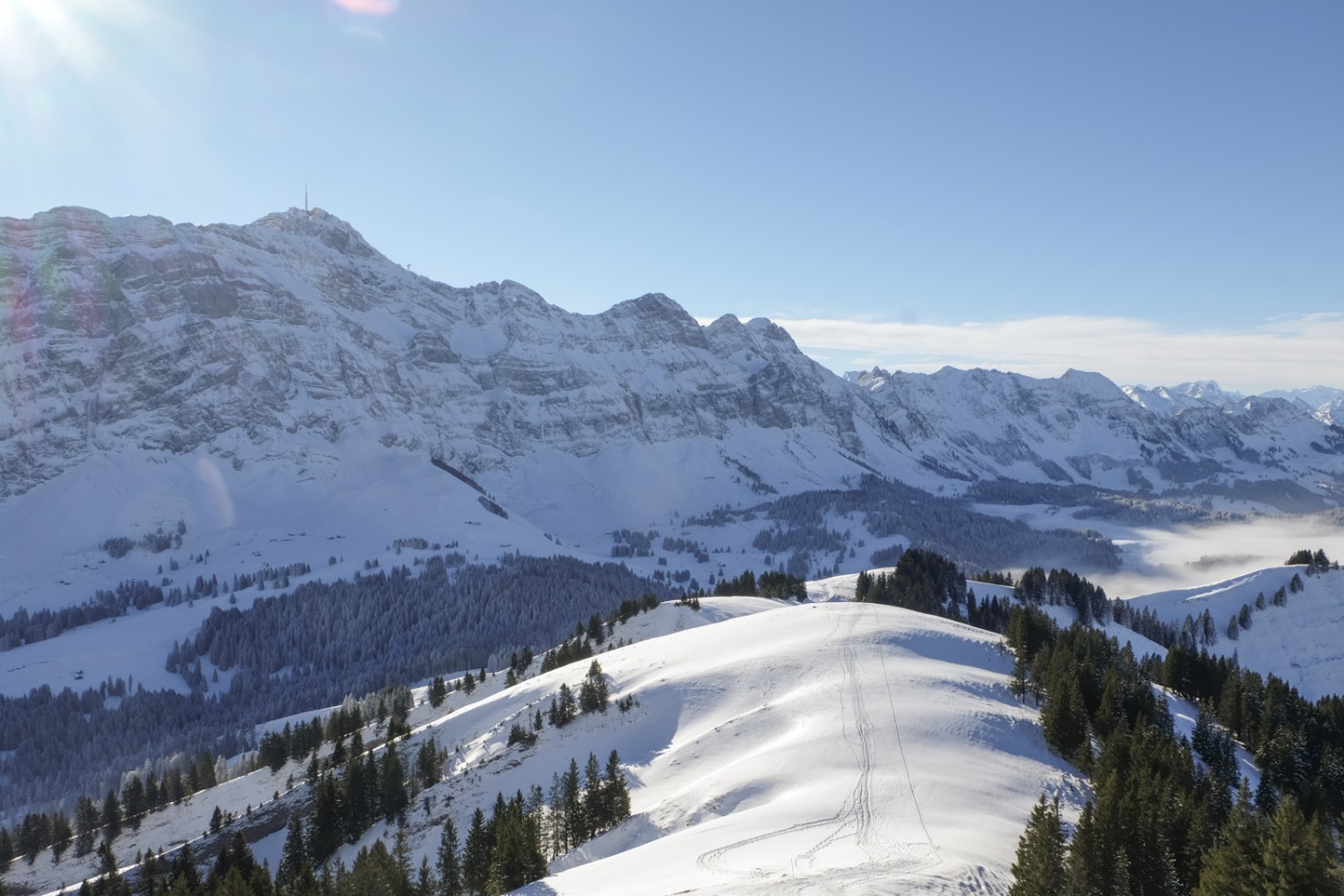 L’Alpstein devant soi, sur la gauche. Une trace isolée se perd en direction de la Schwägalp. Photo: Elsbeth Flüeler