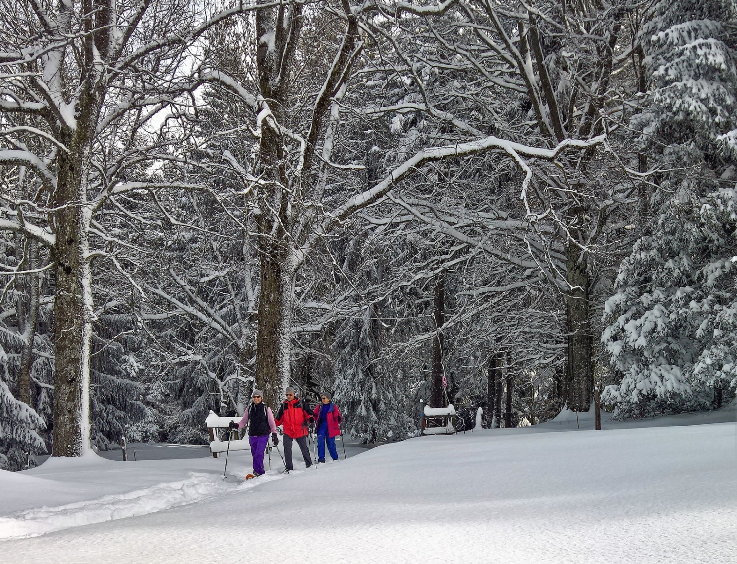 Ambiance hivernale au-dessus du Pré de la Demoiselle. Photo: Andreas Staeger