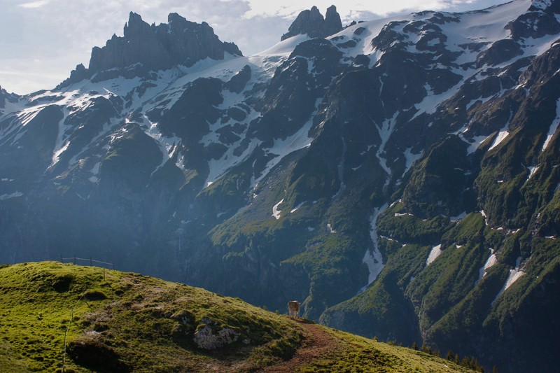 Sur la Fürenalp avec une vue sur les Gross et Klein Spannort. 