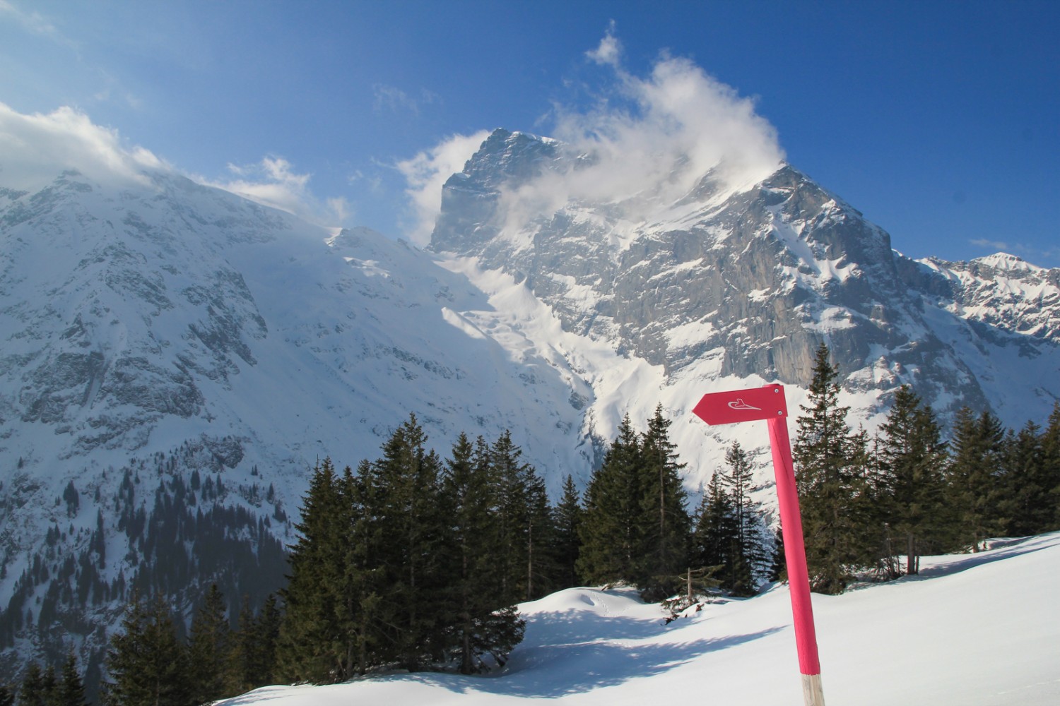 Unterwegs auf dem Grotzlitrail. Bild: Elsbeth Flüeler