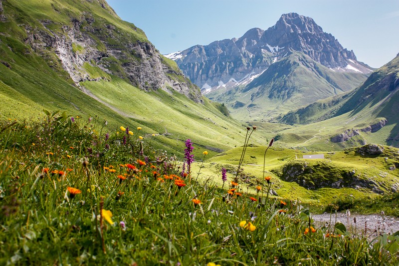 Chemin dans la direction du Blackenstock. Photos: Anne-Sophie Scholl