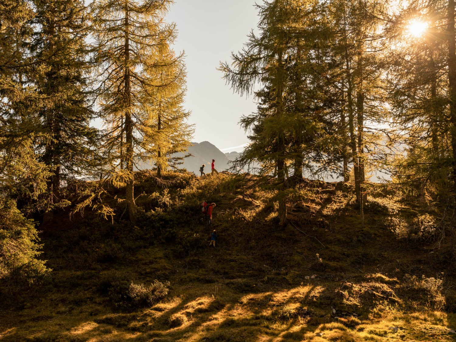 Unterhalb des Gipfels Cornasc wurde früher Kohle hergestellt. Heute führt der Köhlerweg an die historischen Plätze. Bild: Severin Nowacki