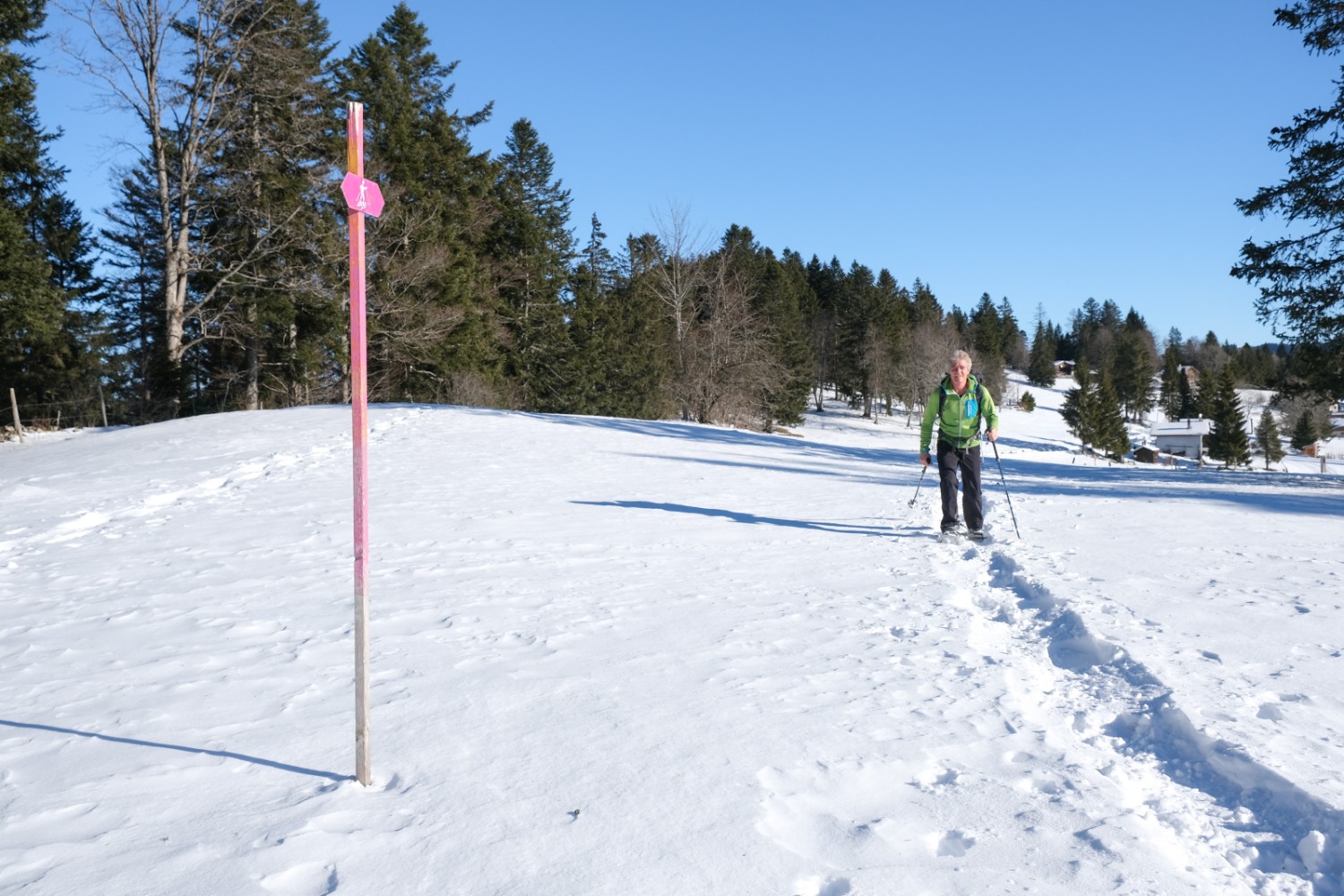 Auf dem Höhenrücken zur Auberge du Grand-Sommartel führt der Trail immer wieder über offene Juraweiden. Bild: Markus Ruff