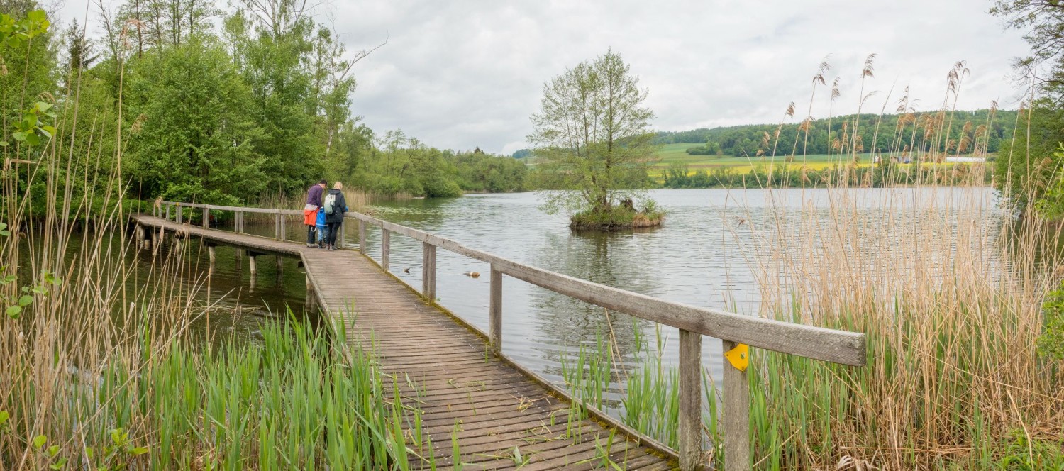 Idyllique passerelle en bois au Hüttwiilersee.