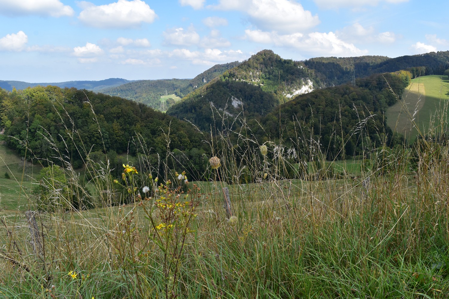 Aussichtspunkt auf der Anhöhe des Col des Rangiers bei Les Malettes. 