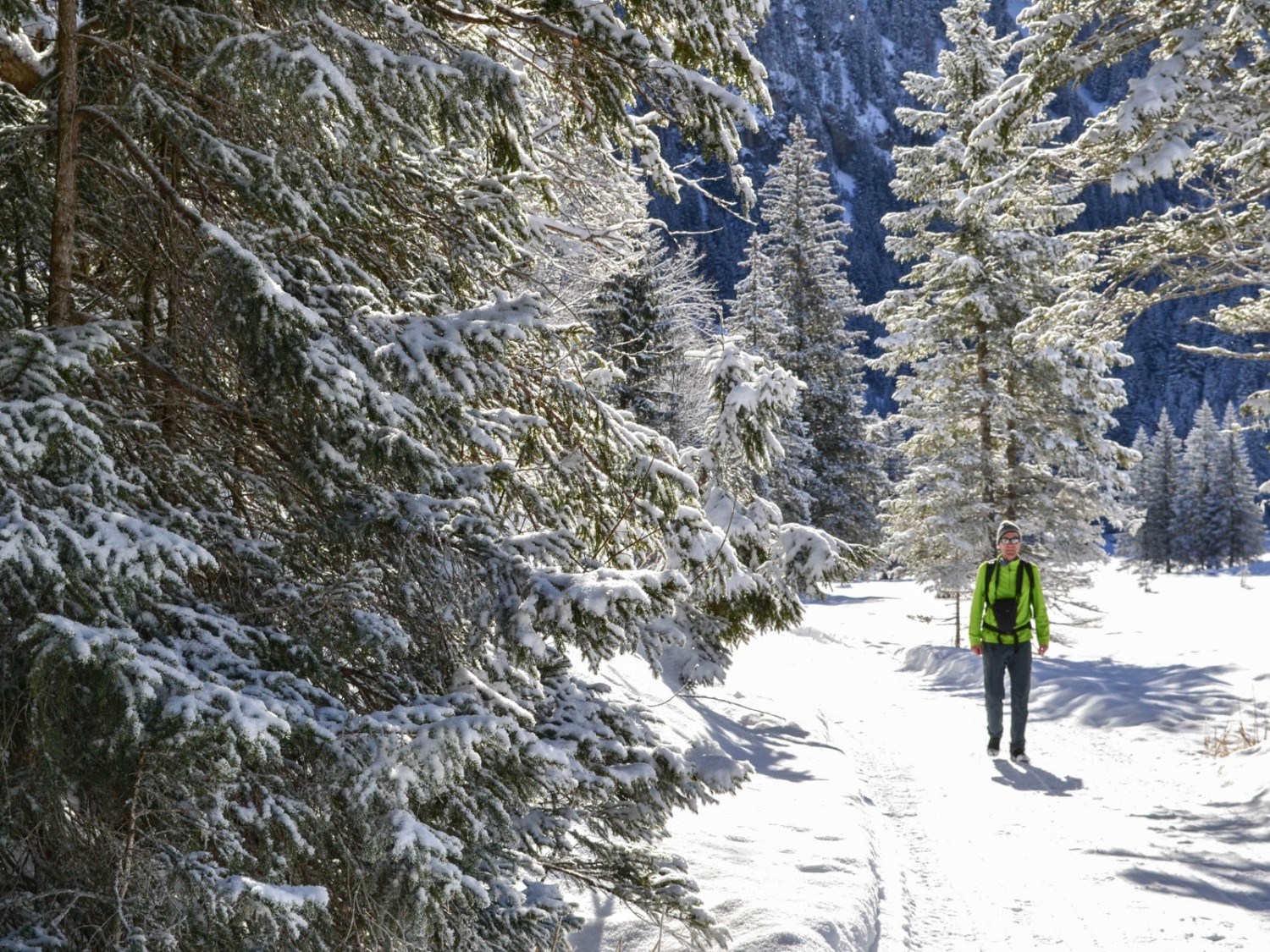 Dans la forêt enneigée près du lac de Lauenen. 