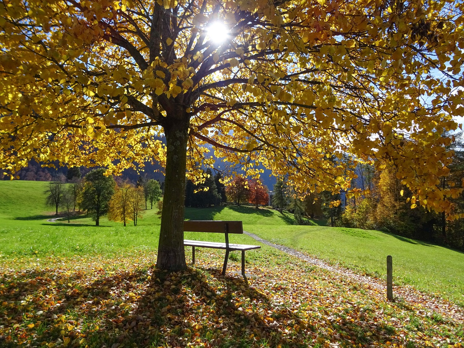 A Béthanie, très bel emplacement pour un banc.