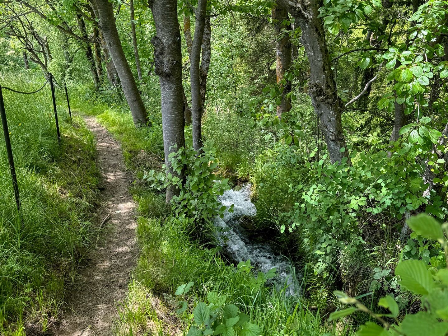 Entlang des idyllischen Bächleins zwischen Mörel und Bitsch