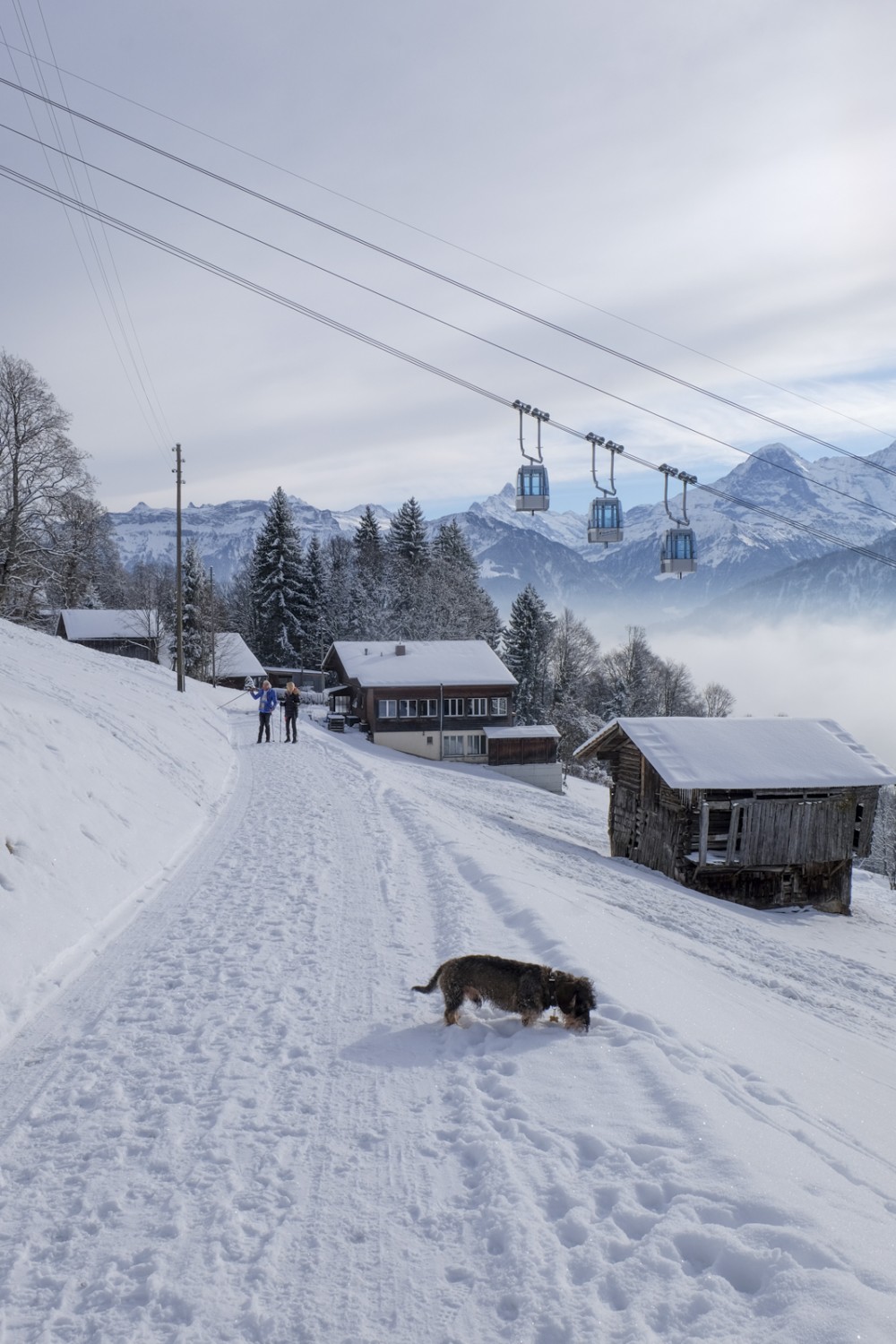 Bei Dellacher quert die Niederhornbahn den Winterwanderweg. Bild: Elsbeth Flüeler