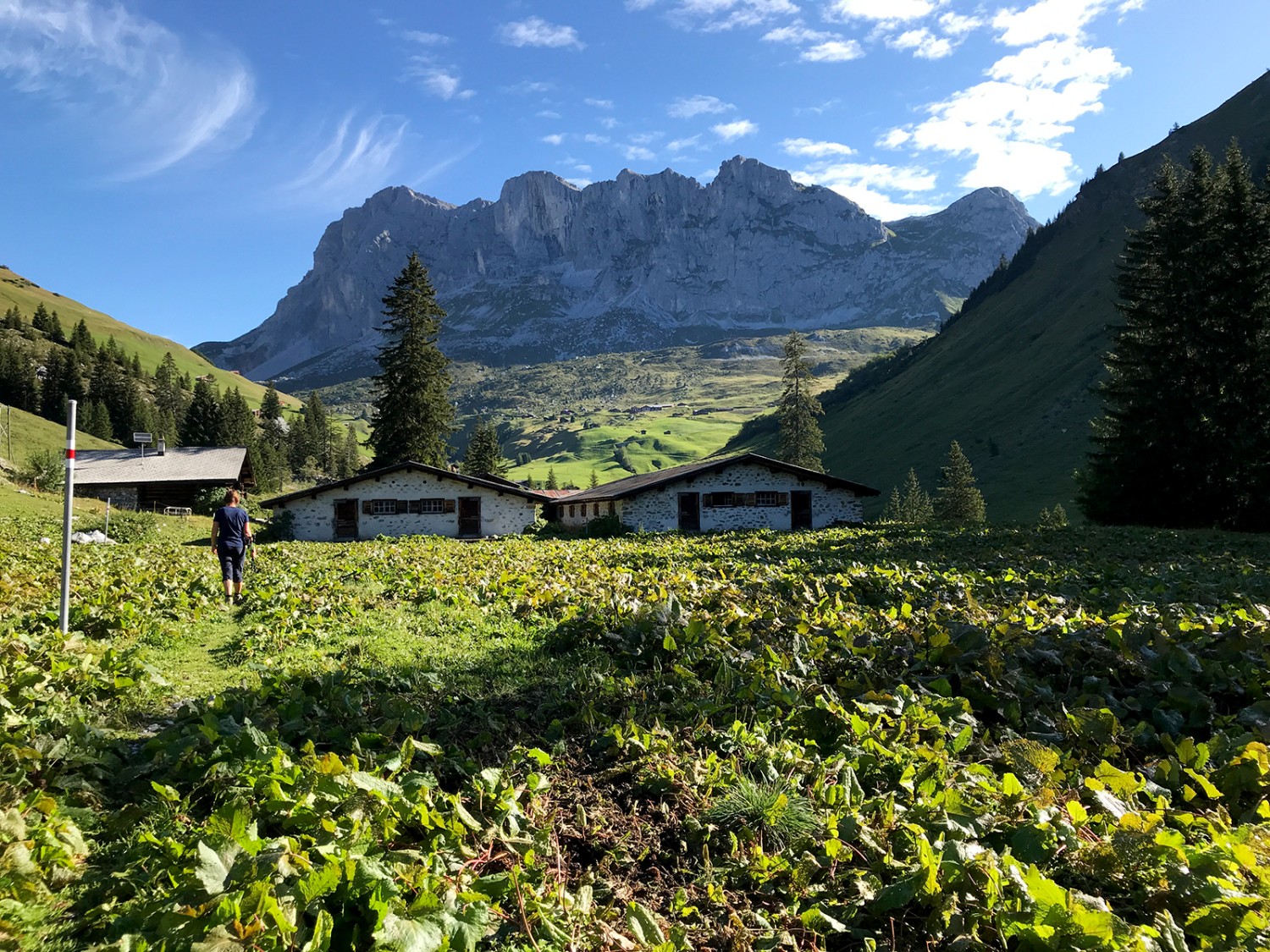 Blick zur Schijenfluh.Bilder: Werner Forrer