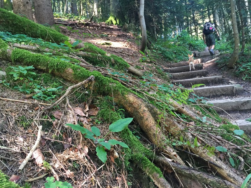 Et c'est parti pour la montée. Photo: Vera In-Albon