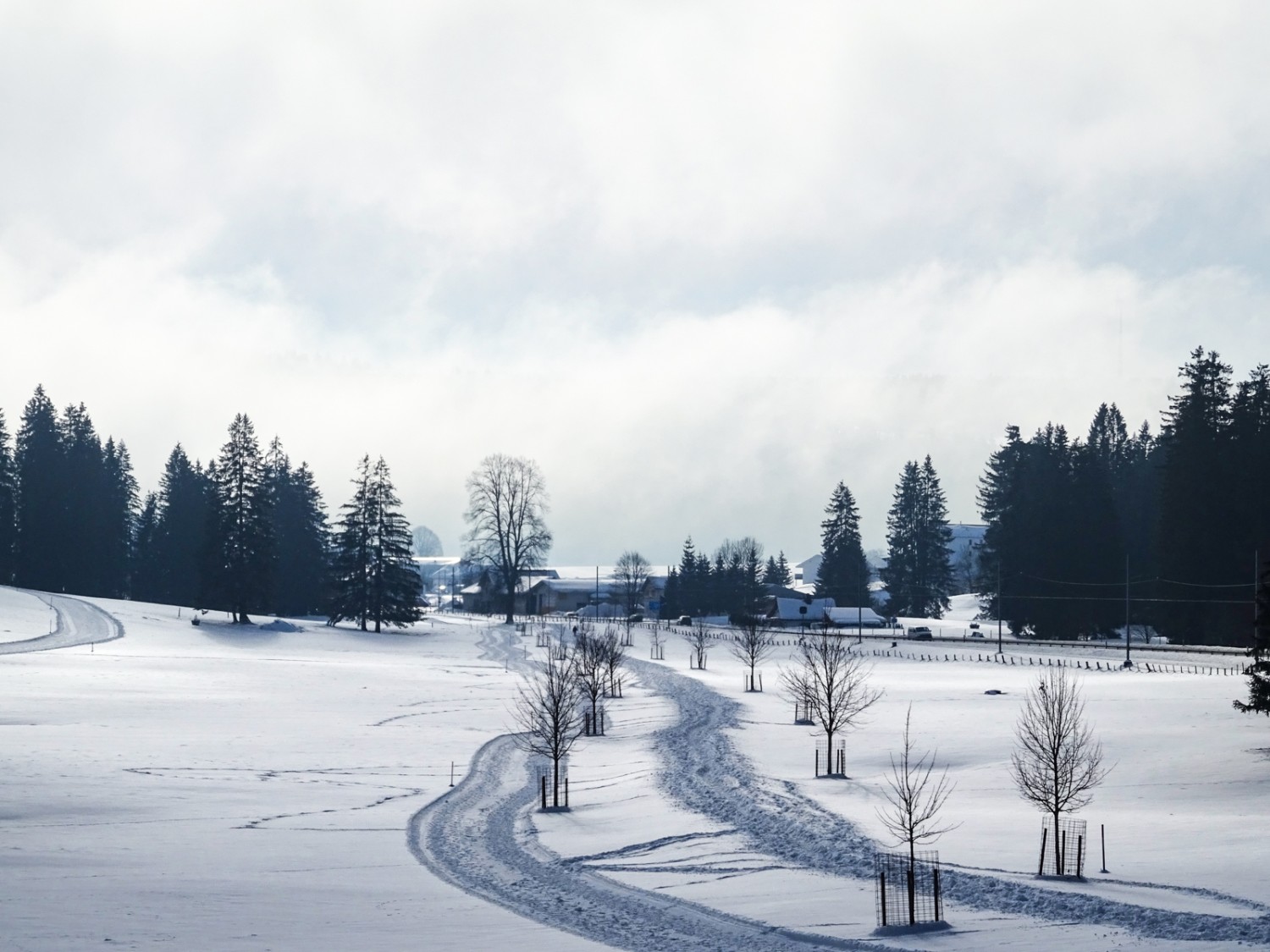 Entre Les Emibois et Muriaux. Photo: Sabine Joss