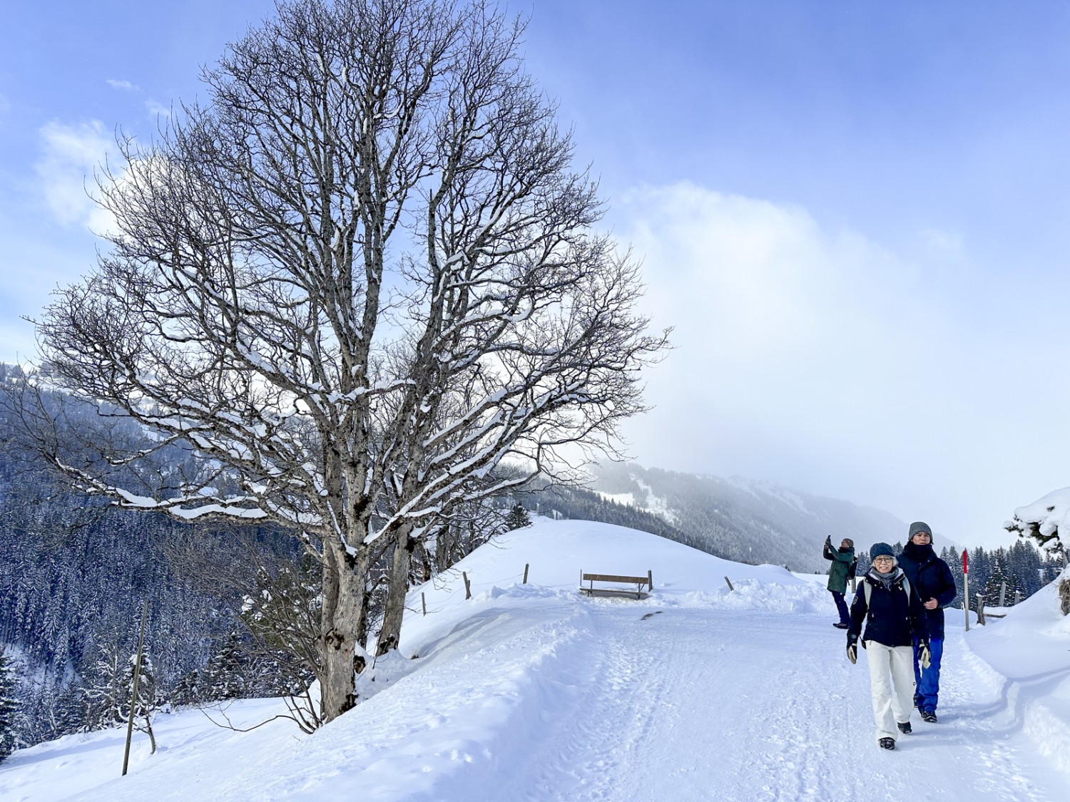 Der Winterwanderweg verläuft auf einer breiten, präparierten Strasse. Bild: Thomas Gloor