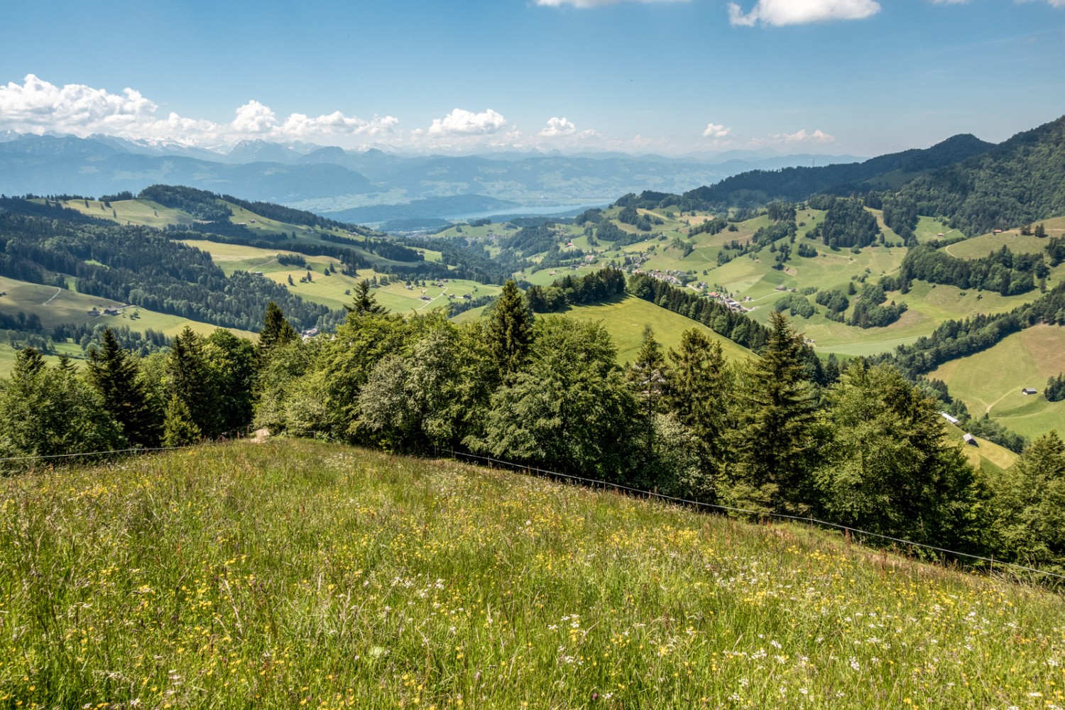 Ein Blick zurück in Richtung Zürichsee. Bild: Fredy Joss