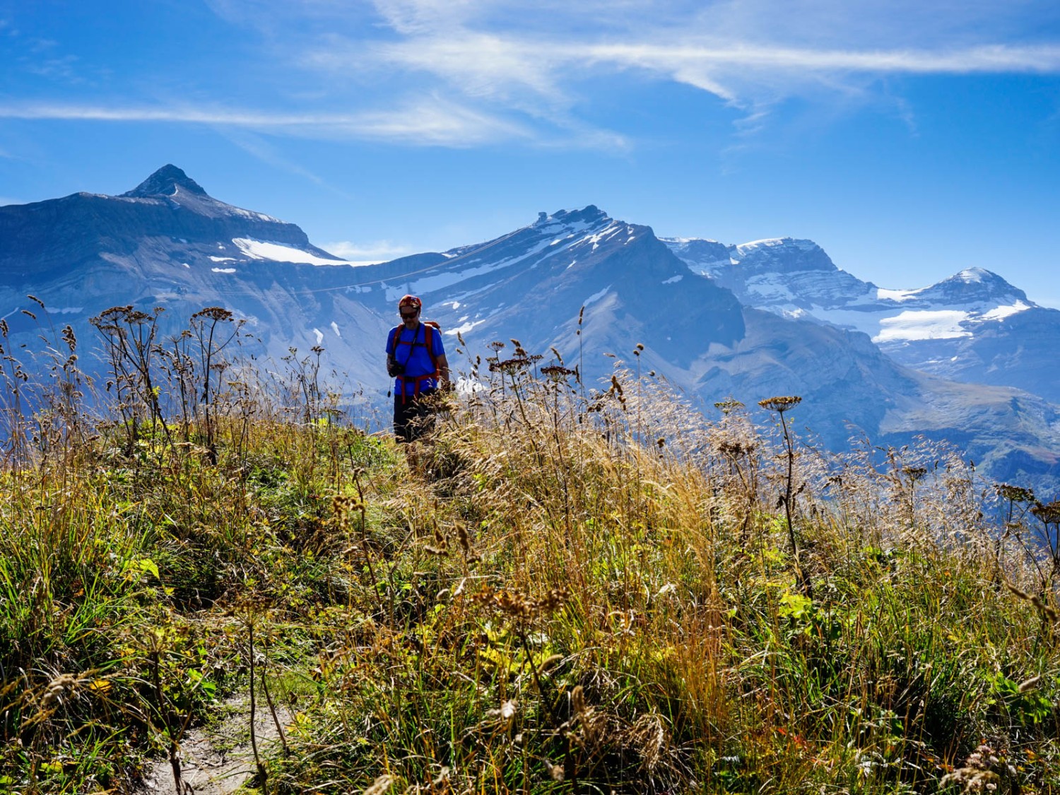 Der Weg auf die Palette führt zuoberst durch hohe Vegetation. Bild: Fredy Joss