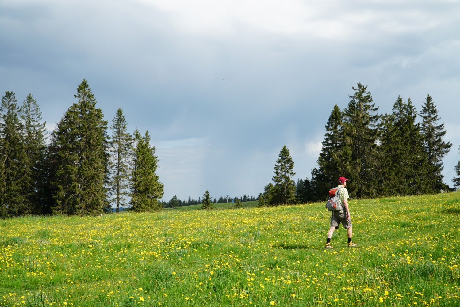 Über Land mit Aussicht auf ein morgendliches Gewitter. Bild: Mia Hofmann